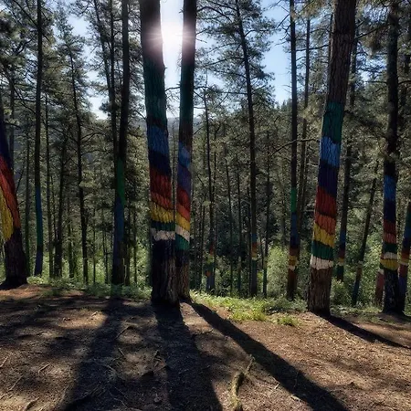 Сasa de vacaciones Urdaibai Etxea *